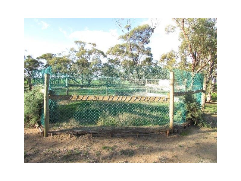 2504 Sunraysia Highway, Curyo VIC 3483
