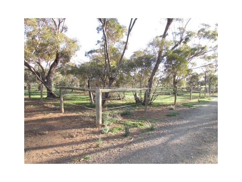 2504 Sunraysia Highway, Curyo VIC 3483