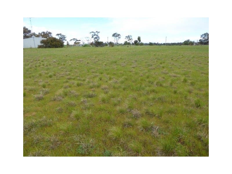 5 Lehmann Street, Brim VIC 3391