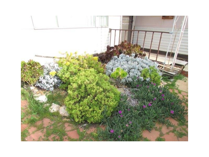 2-4 Byrne Street, Yaapeet VIC 3424