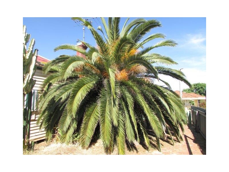 18 High Street, Watchem VIC 3482