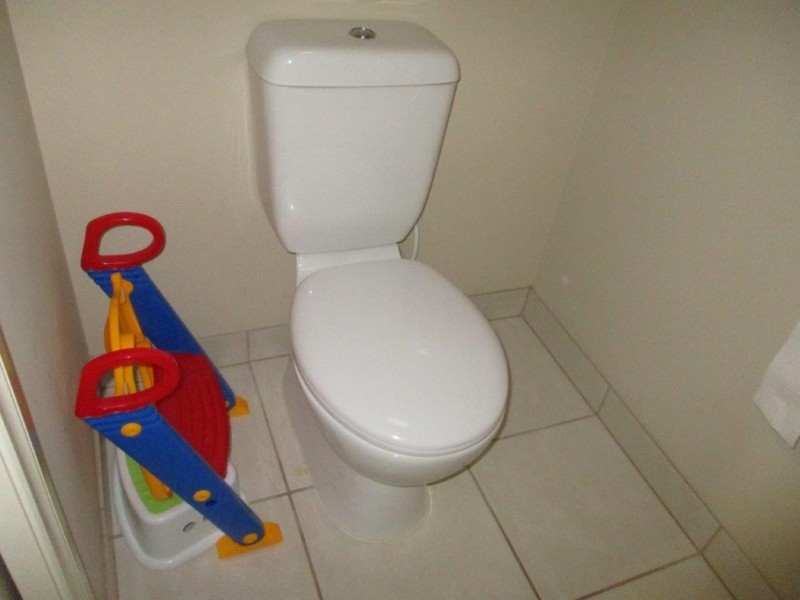 54 Cumming Avenue, Birchip VIC 3483