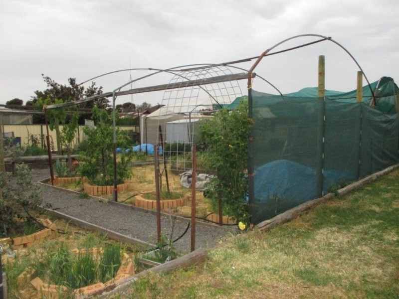 54 Cumming Avenue, Birchip VIC 3483