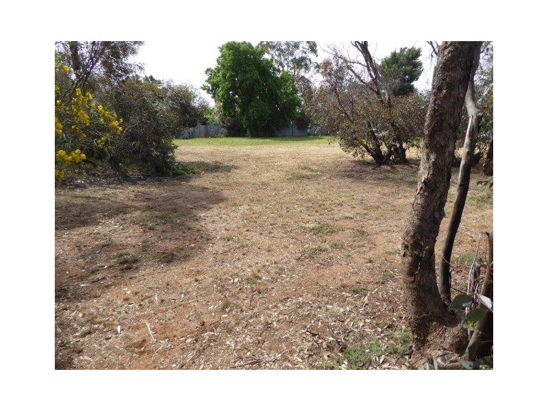 8 Myall Street, Woomelang VIC 3485