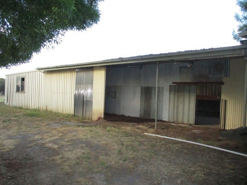 31 Hammill Street, Donald VIC 3480