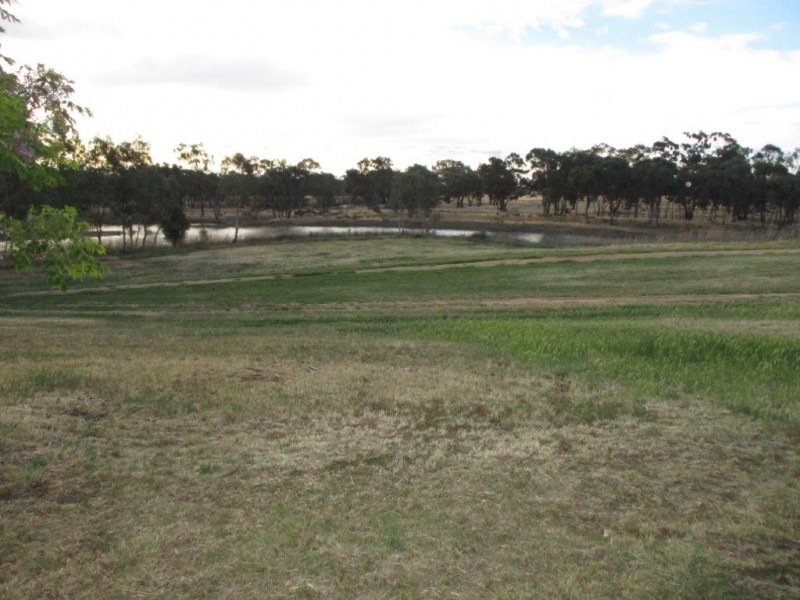 31 Hammill Street, Donald VIC 3480