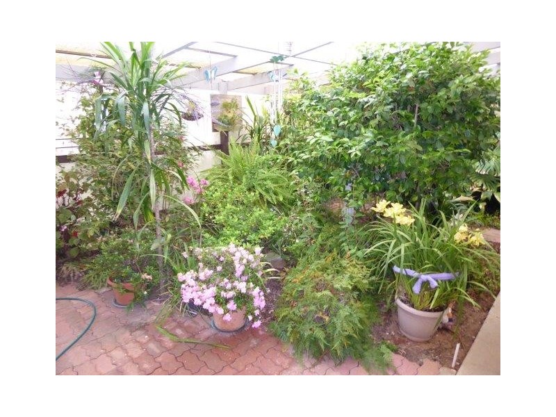 5 Charles Street, Jeparit VIC 3423