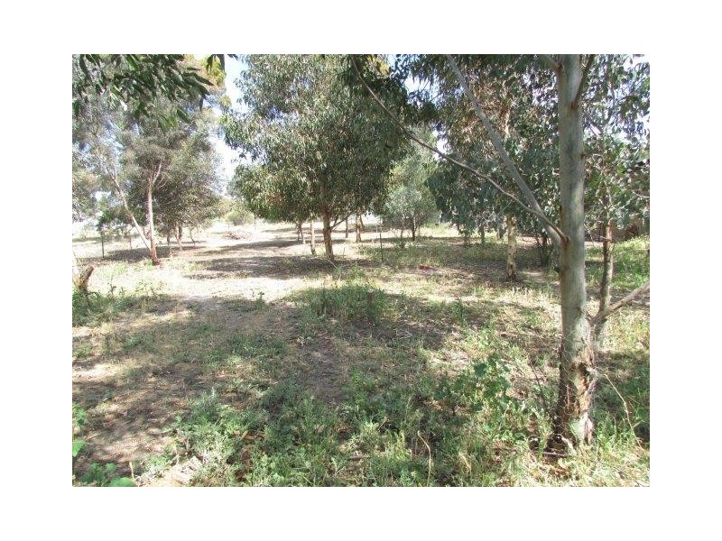 84 Wimmera Street, Dimboola VIC 3414