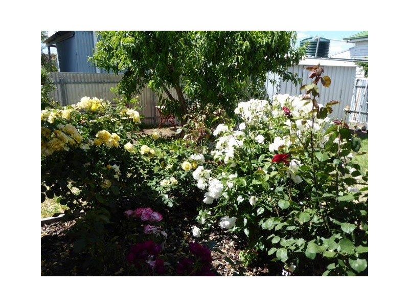 61 Molyneaux Street, Warracknabeal VIC 3393