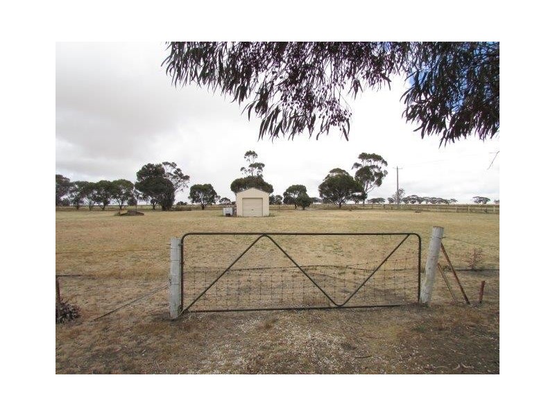 47-49 Comyn Street, Murtoa VIC 3390