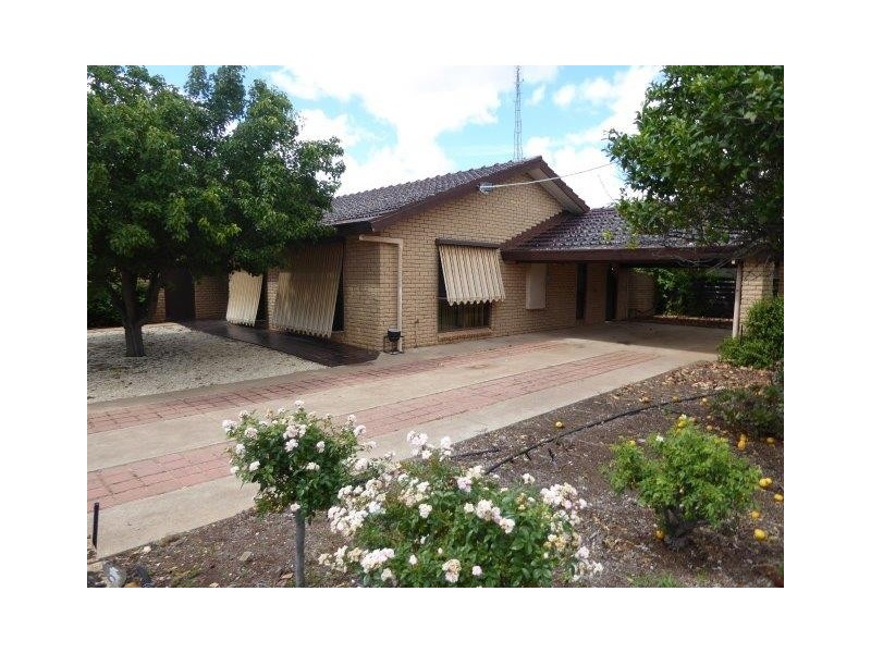 12 Walker Street, Donald VIC 3480