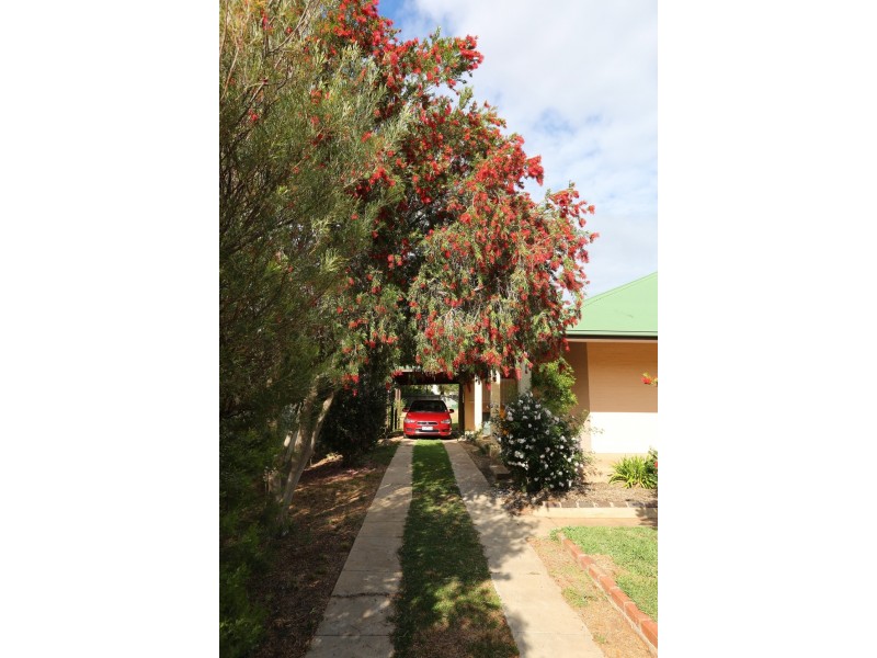 41 Evelyn Street, Hopetoun VIC 3396