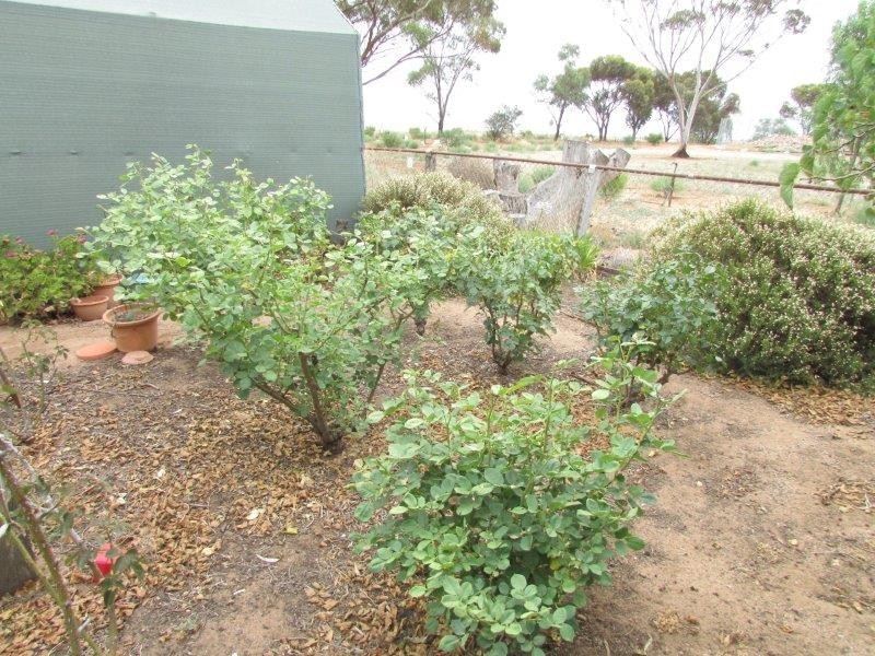 27 Cust Street, Rainbow VIC 3424