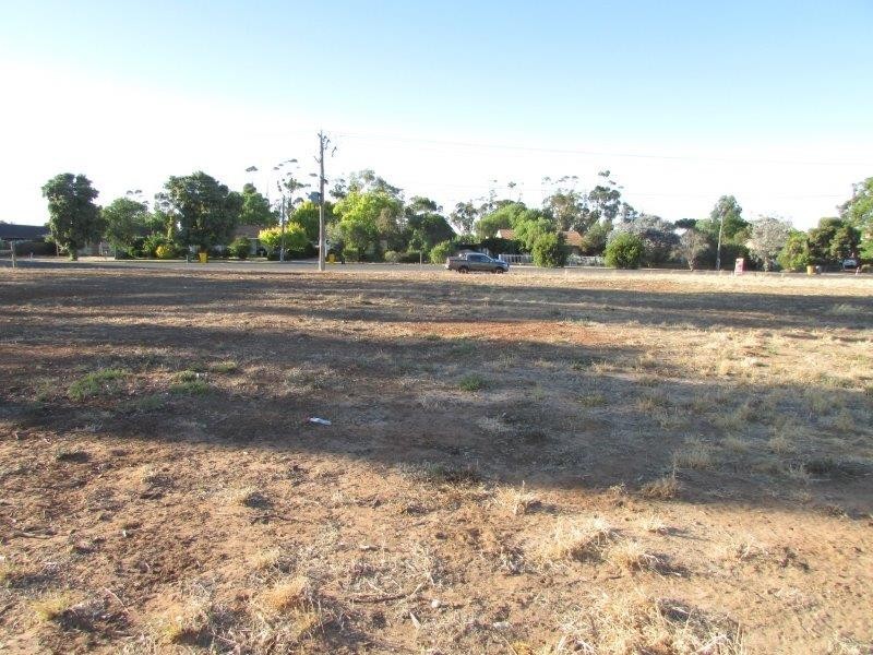 48 Gardiner Street, Warracknabeal VIC 3393