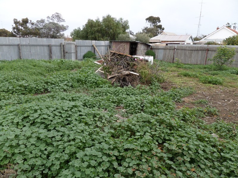 2 Riverside Street, Jeparit VIC 3423