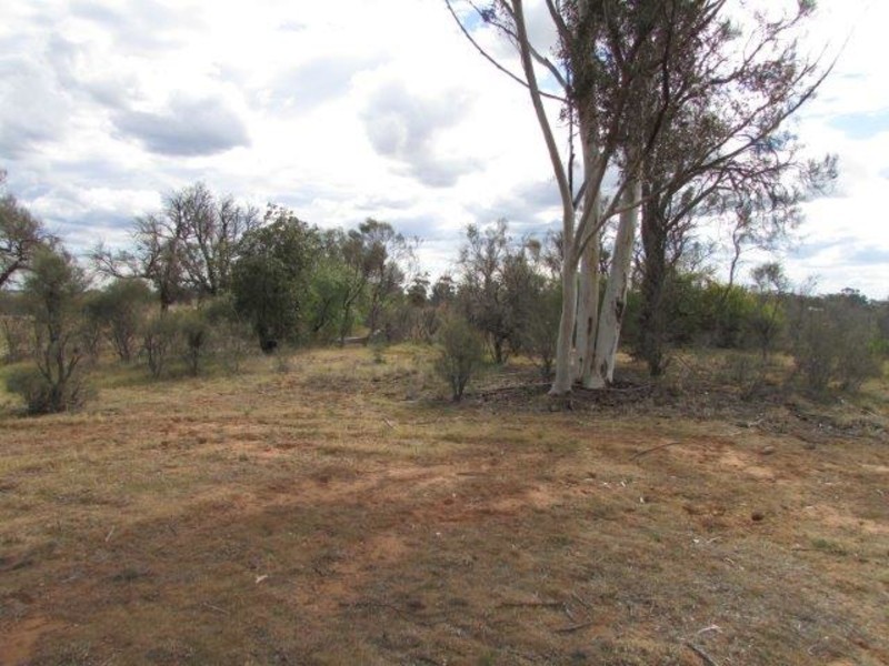 67 Dyer St, Watchem VIC 3482