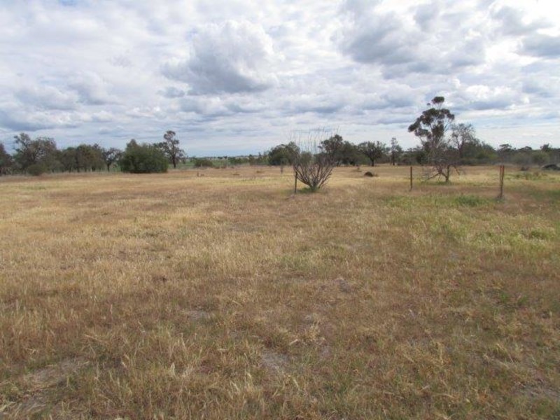 67 Dyer St, Watchem VIC 3482