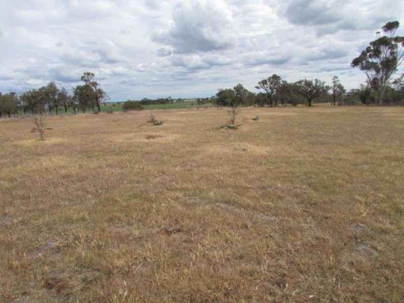 67 Dyer St, Watchem VIC 3482