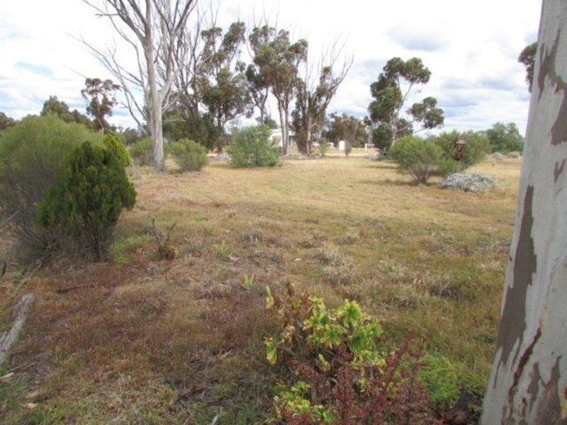 67 Dyer St, Watchem VIC 3482