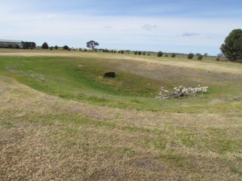 53 Government Road, Warracknabeal VIC 3393