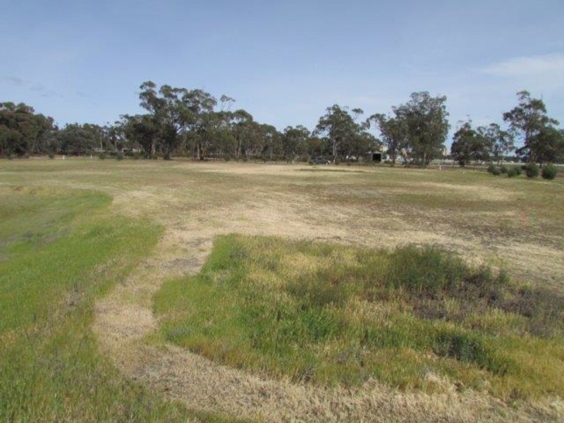 53 Government Road, Warracknabeal VIC 3393