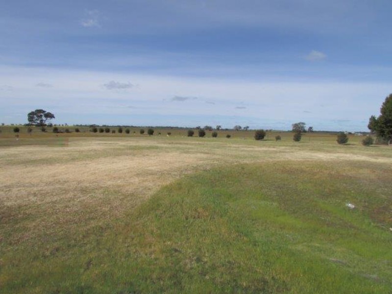 53 Government Road, Warracknabeal VIC 3393