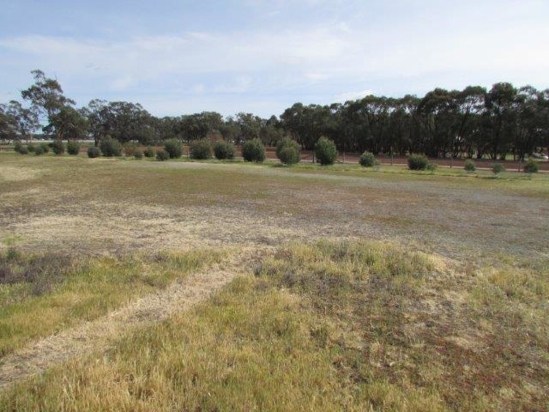 53 Government Road, Warracknabeal VIC 3393