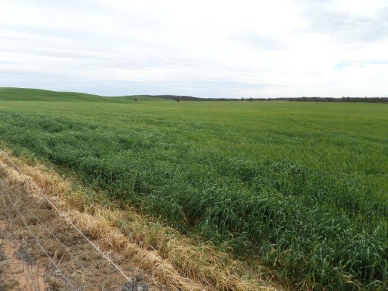 Dattuck Road, Hopetoun VIC 3396