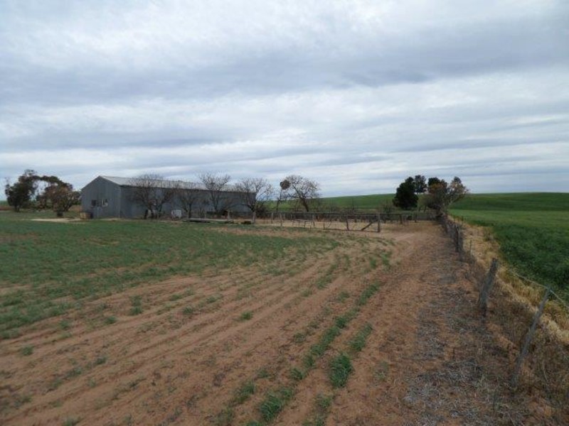 Dattuck Road, Hopetoun VIC 3396