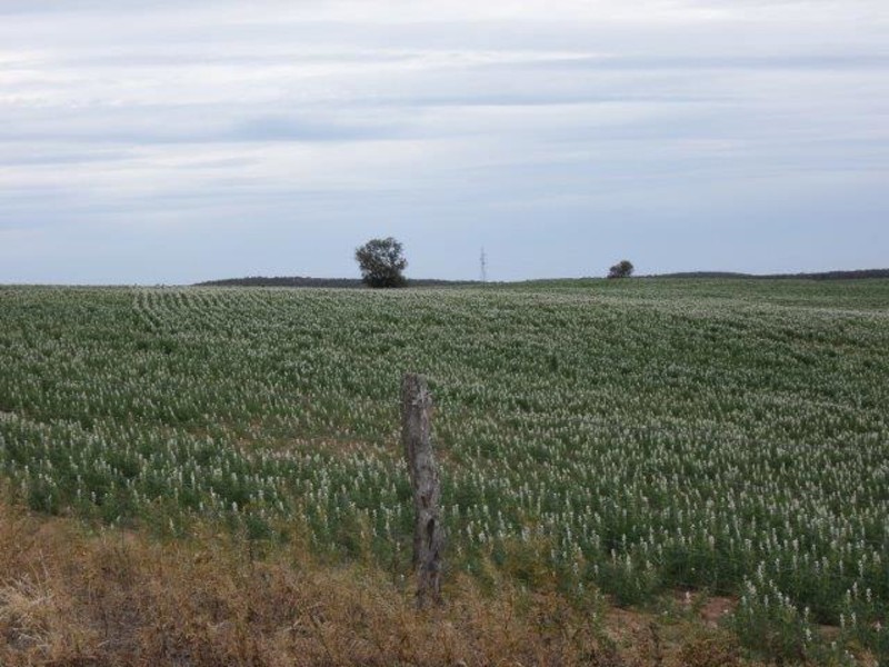 Dattuck Road, Hopetoun VIC 3396