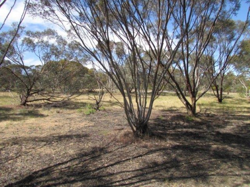 Lots 1,2,3 & 4 Ellerman Street, Dimboola VIC 3414