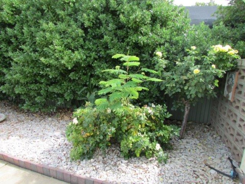 105 Anderson Street, Warracknabeal VIC 3393