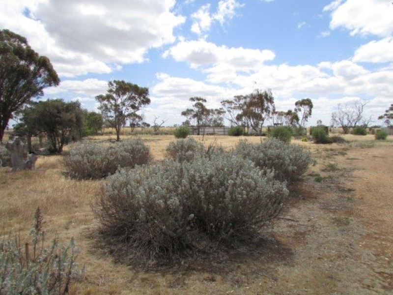 3D Sunraysia Highway, Cope Cope VIC 3480