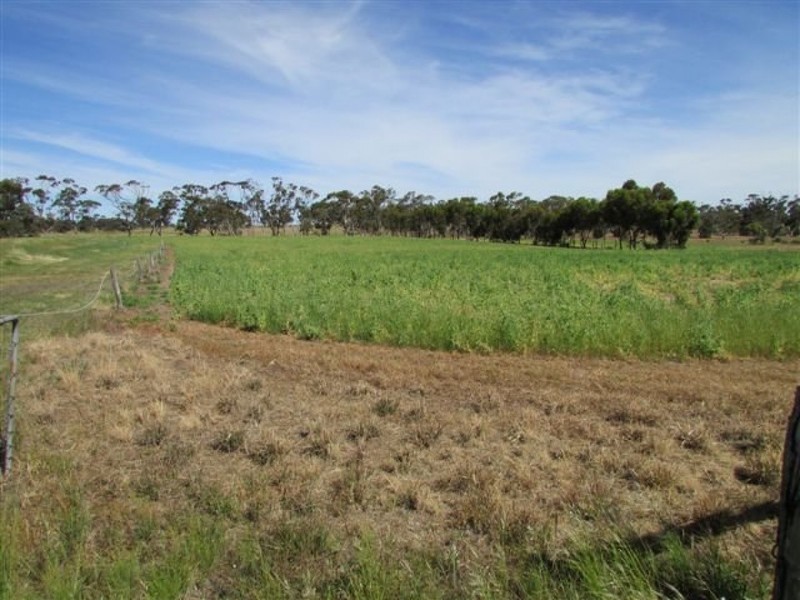 30 Ey Road, Dimboola VIC 3414