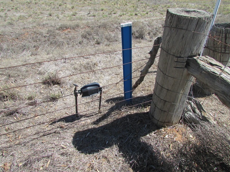 904 Watchem-Warrack Road, Watchem VIC 3482