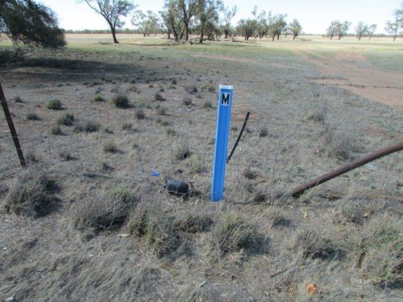 904 Watchem-Warrack Road, Watchem VIC 3482