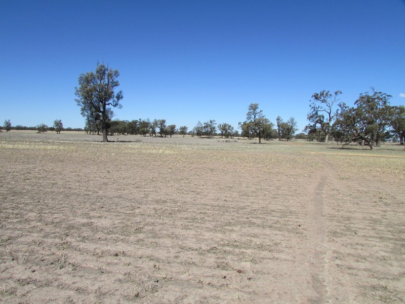 904 Watchem-Warrack Road, Watchem VIC 3482