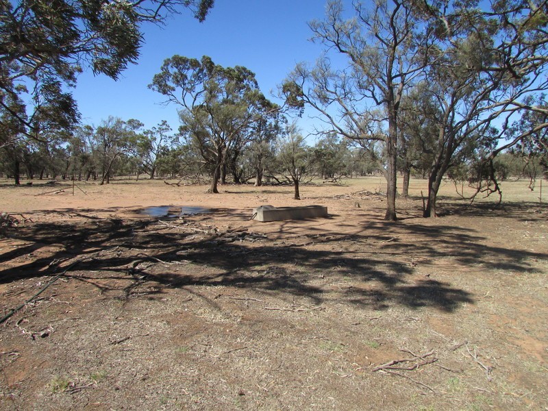 904 Watchem-Warrack Road, Watchem VIC 3482