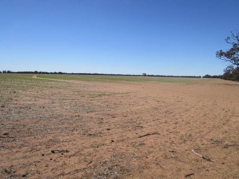 904 Watchem-Warrack Road, Watchem VIC 3482