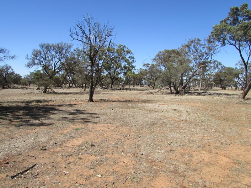 904 Watchem-Warrack Road, Watchem VIC 3482