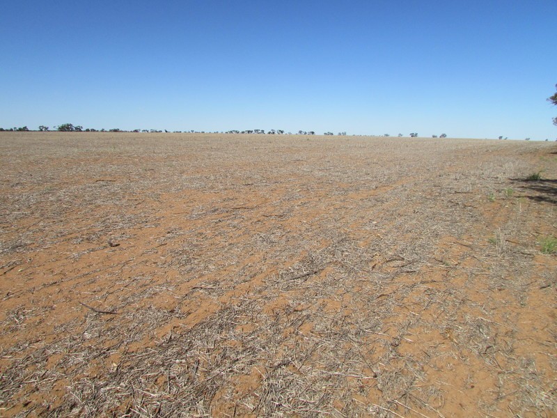 904 Watchem-Warrack Road, Watchem VIC 3482