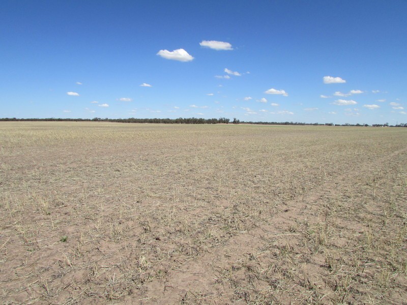 904 Watchem-Warrack Road, Watchem VIC 3482