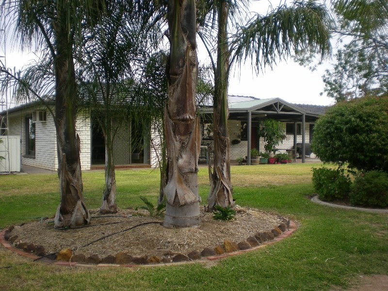 66 Dimboola Road, Warracknabeal VIC 3393