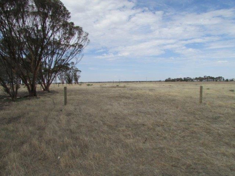 5214 Stawell-Warracknabeal Road, Rupanyup VIC 3388