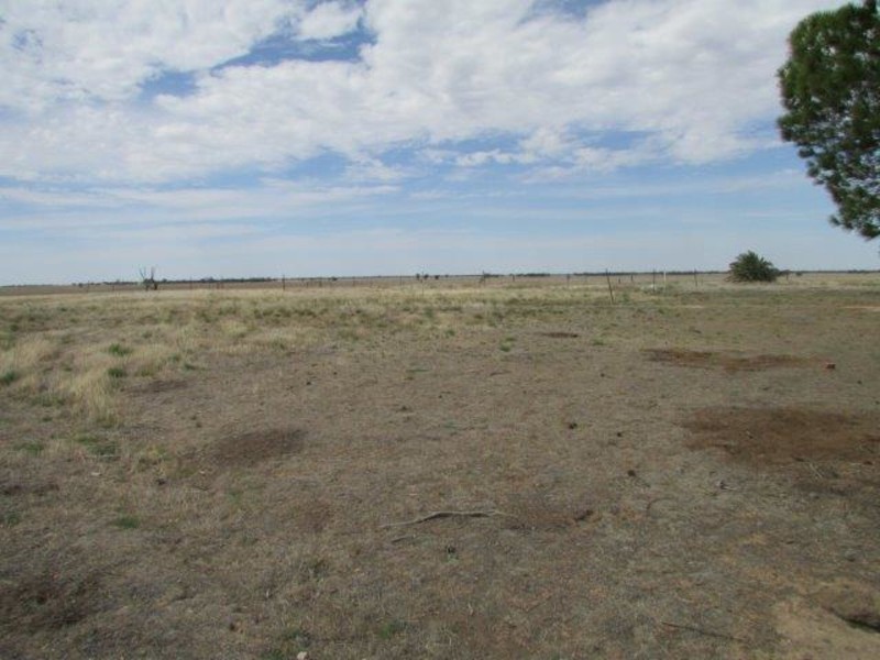 5214 Stawell-Warracknabeal Road, Rupanyup VIC 3388