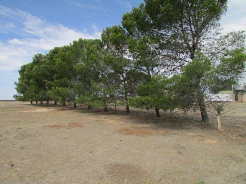 5214 Stawell-Warracknabeal Road, Rupanyup VIC 3388