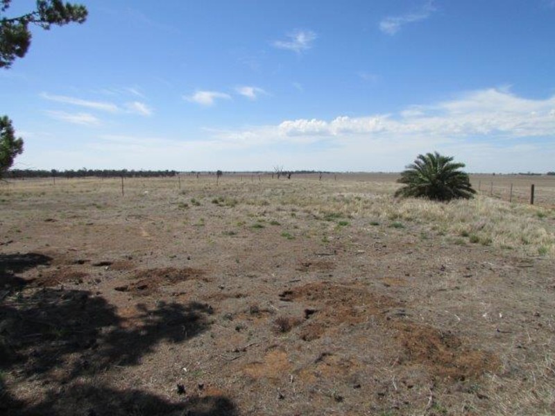 5214 Stawell-Warracknabeal Road, Rupanyup VIC 3388