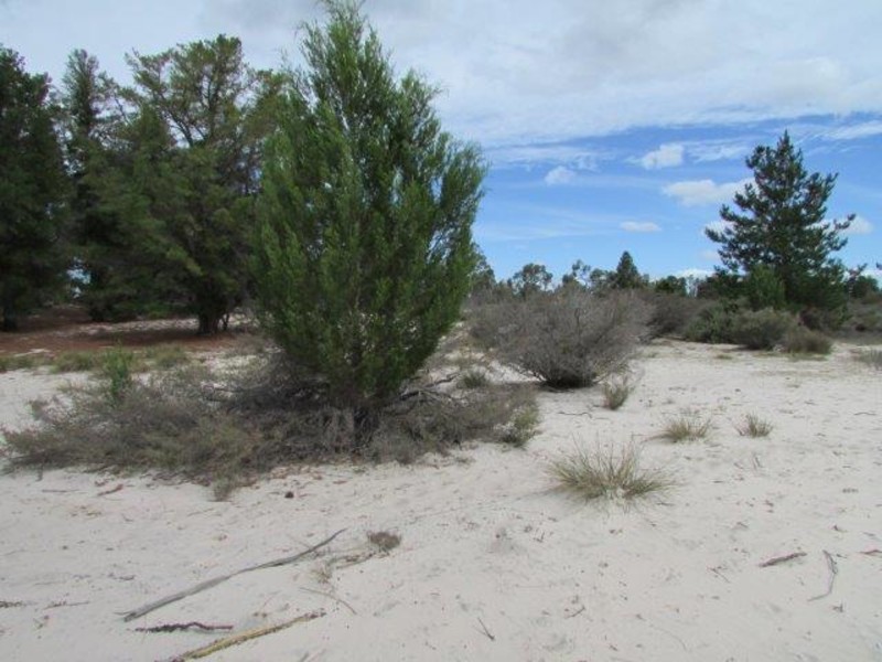 510 Horseshoe Bend Road, Dimboola VIC 3414