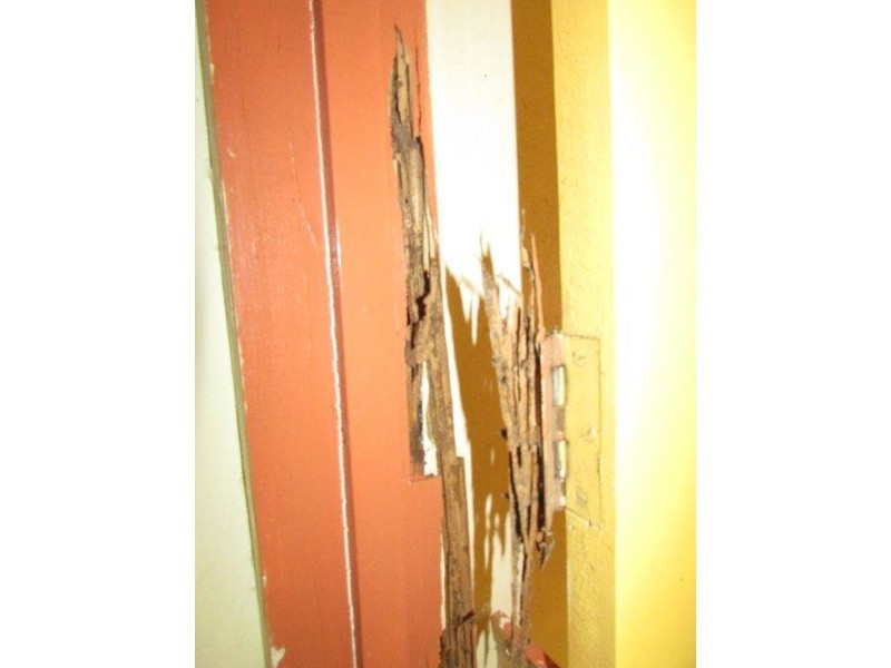 61 Lower Roy Street, Jeparit VIC 3423