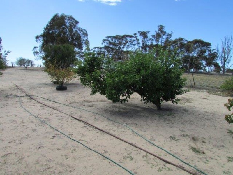 1 Broadway, Jeparit VIC 3423